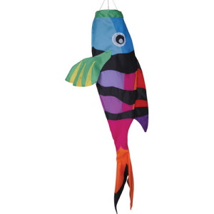 77722p_rainbow_fish
