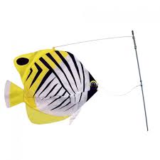 swim flame fish