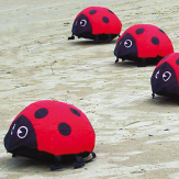 e-bug2