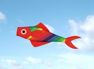 np447610_colours_in_motion_windsack_rainbow_fish_red