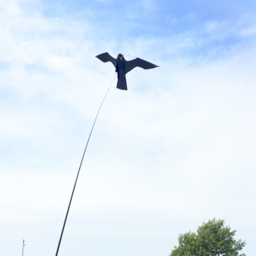 EFFAROUCHEUR CERF-VOLANT AVEC PIED