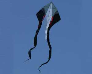 f-tail-delta-xxl-black-grey-top