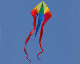 f-tail-delta-xxl-rainbow-top