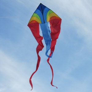 fd111820 f-tail dart rainbow