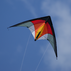Cerf-volant acrobatique Piaf